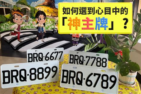 2023車牌號碼|CAR16 免費車牌查詢工具，全國監理站車牌選號快速查詢